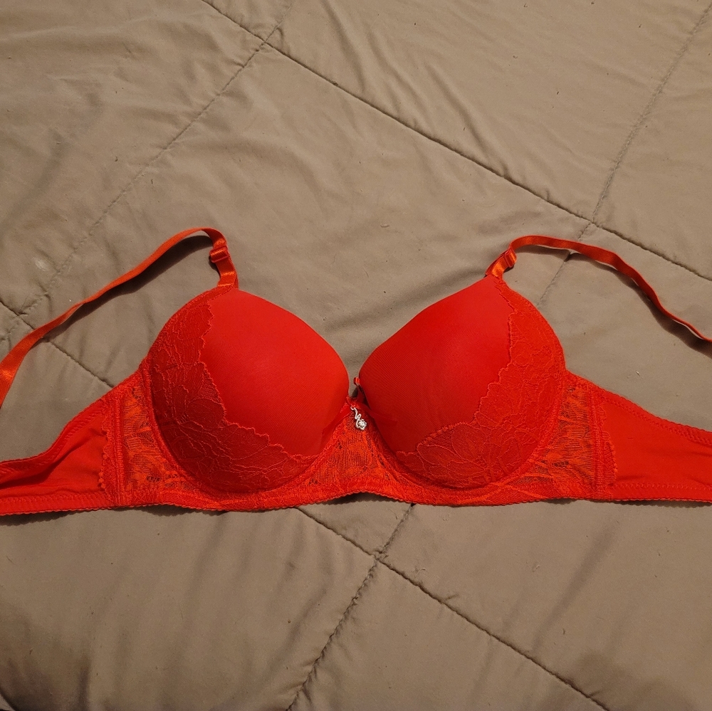 Lacey Shein Bra NEW*